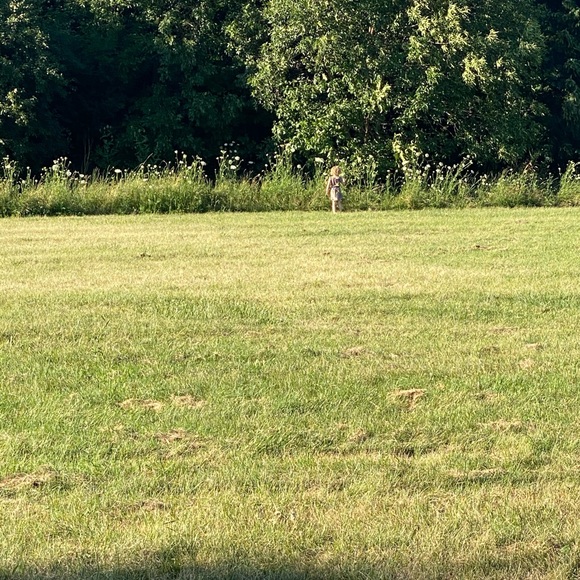 Meet your Posher, Cara - Picture 1 of 1